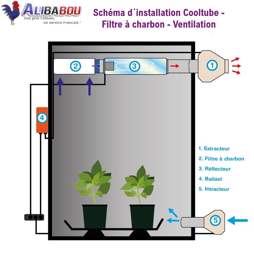 Schéma Installation Cooltube-Filtre à charbon-Ventilation